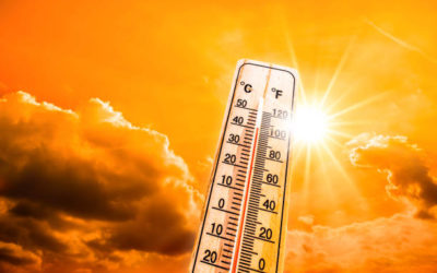 Quelles mesures doivent prendre les employeurs en cas de fortes chaleurs ?